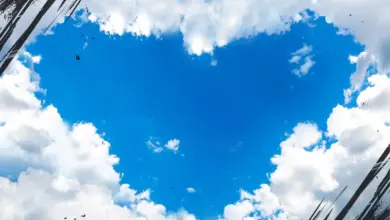 Makna Emoji Hati Biru (💙) yang Beda, Jangan Salah Pakai untuk Hubungan Cinta