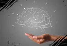 Manfaat Polifenol Spearmint untuk Meningkatkan Daya Ingat, Fokus, dan Fungsi Otak Secara Alami