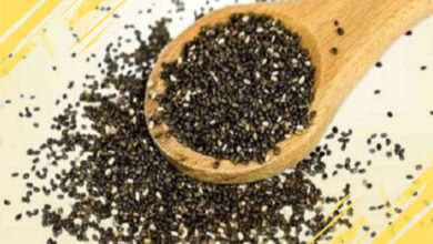 Manfaat dan Risiko Diet Chia Seed untuk Kesehatan Tubuh yang Perlu Diketahui