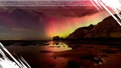 Mengenal Fenomena Cahaya Aurora: Ciri Khas Aurora Utara dan Selatan yang Perlu Diketahui
