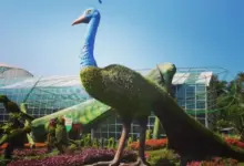 Menjelajahi Pesona Batu Love Garden: Fasilitas Lengkap dan Info Tiket Terupdate