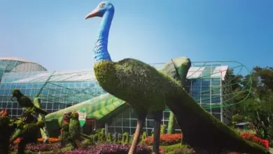 Menjelajahi Pesona Batu Love Garden: Fasilitas Lengkap dan Info Tiket Terupdate