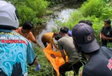 Misteri Jasad Pemuda di Rawa G Obos Ujung, Polisi Temukan iPhone dan Miras di Lokasi
