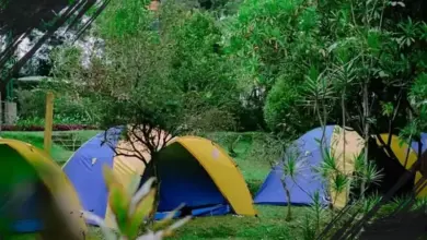 Panduan Lengkap Datura Nature Space: Biaya Masuk dan Aktivitas Seru di Bogor