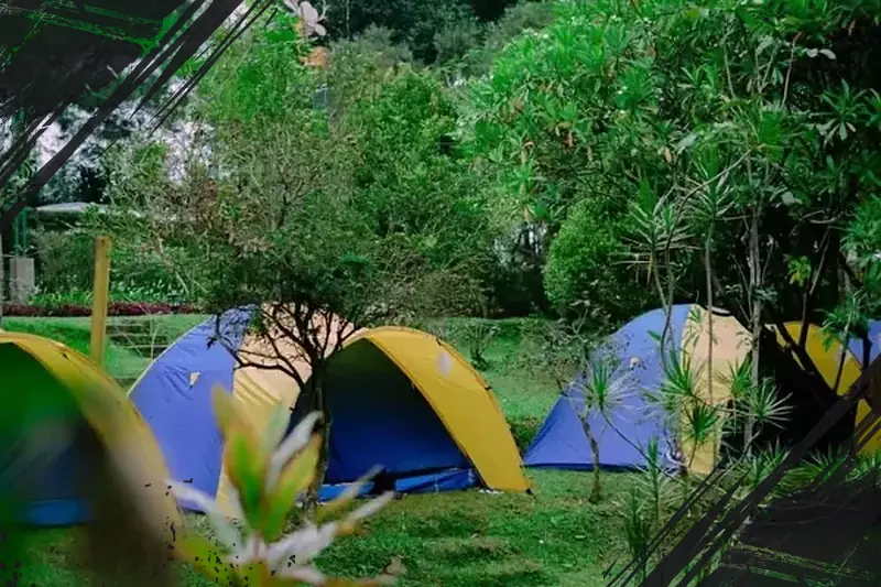 Panduan Lengkap Datura Nature Space: Biaya Masuk dan Aktivitas Seru di Bogor