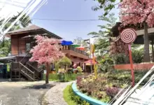 Panduan Lengkap Wisata Bukit Sakura: Harga Tiket & Ragam Wahana Terbaru