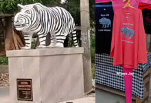 Patung Macan Ikonik Kediri Kini Punya Merchandise Resmi, Peluang Cuan Baru untuk Warga!