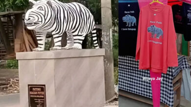 Patung Macan Ikonik Kediri Kini Punya Merchandise Resmi, Peluang Cuan Baru untuk Warga!