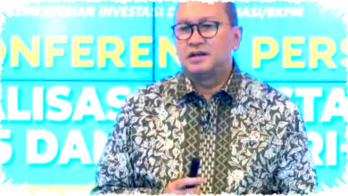 Pemerintah Siap Mulai Pembangunan 6 Peternakan Ayam Besar Awal Februari Mendatang