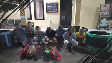 Polisi Tangkap 8 Pelaku Judi Sabung Ayam, Sita Ayam Bangkok dan Arena di Lokasi Tersebut