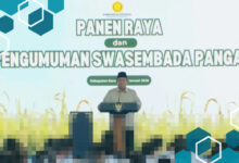 Prabowo Canangkan Swasembada Pangan, Indonesia Siap Tingkatkan Ekspor Beras