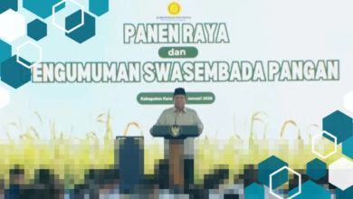 Prabowo Canangkan Swasembada Pangan, Indonesia Siap Tingkatkan Ekspor Beras