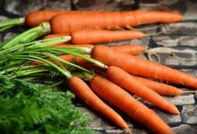 Rutin Makan Wortel: Efek Positif dan Perubahan pada Gula Darah yang Perlu Diketahui