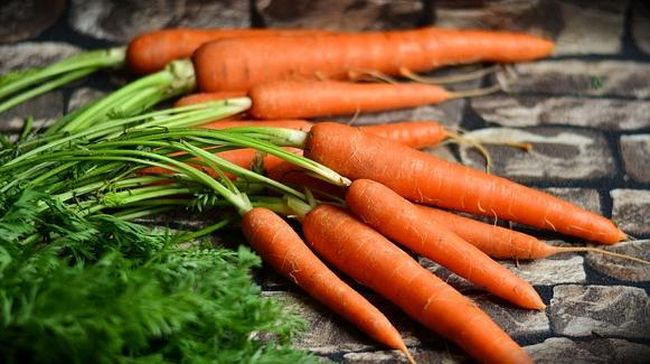 Rutin Makan Wortel: Efek Positif dan Perubahan pada Gula Darah yang Perlu Diketahui