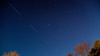 SpaceX Prediksi Jumlah Satelit Starlink De-Orbit Turun Signifikan di Tahun 2026