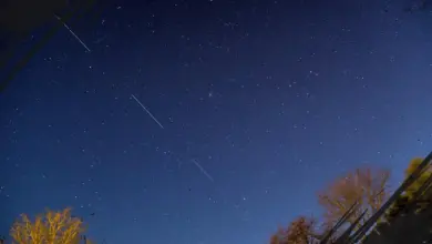 Starlink Turunkan Orbit Ribu Satelit untuk Cegah Risiko Tabrakan Antariksa