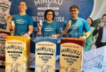 Susu Creamy Ala Hokkaido Bebas Drama Perut, Pilihan Lezat untuk Penderita Intoleransi Laktosa