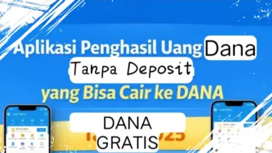 Tanpa Syarat Ribet, Ini Rekomendasi Aplikasi Penghasil Saldo DANA yang Terbukti Membayar!
