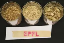 Teknologi Baru: Struk Belanja & Tiket Kini Bisa Dicetak dari Lapisan Kayu Ramah Lingkungan