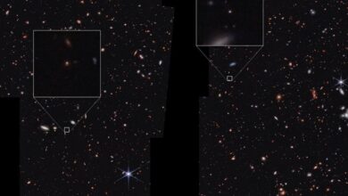 Teleskop Webb Temukan Objek Aneh di Luar Angkasa yang Tak Sesuai Kategori Apa Pun