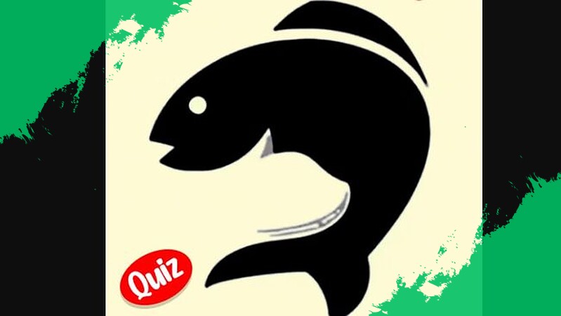 Tes Kepribadian Seru: Pilih Kucing atau Ikan Pertama, Ungkap Sifat Tersembunyi Kamu!