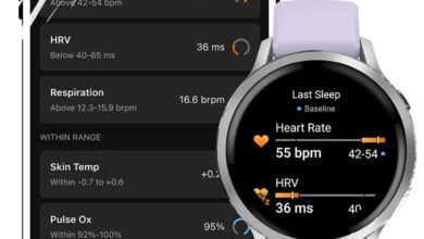Update Fitur Garmin Health Status: Penambahan Timeline di Versi Terbaru Connect Apk