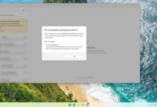 WhatsApp Dinilai Lebih Utamakan Ponsel, Pengalaman Pengguna PC Windows Masih Tertinggal