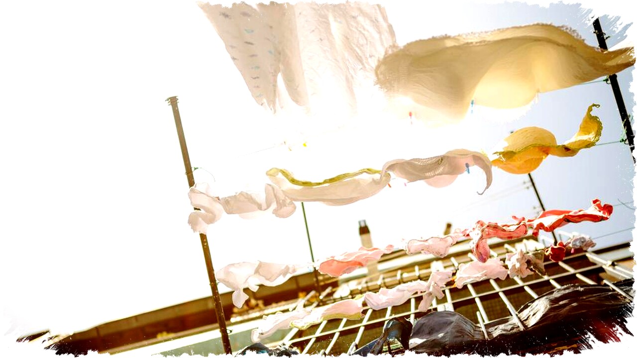 10 Cara Efektif Agar Jemuran Cepat Kering di Musim Hujan Tanpa Mesin Cuci, Mudah dan Hemat! 10 Cara Efektif Agar Jemuran Cepat Kering di Musim Hujan Tanpa Mesin Cuci, Mudah dan Hemat!