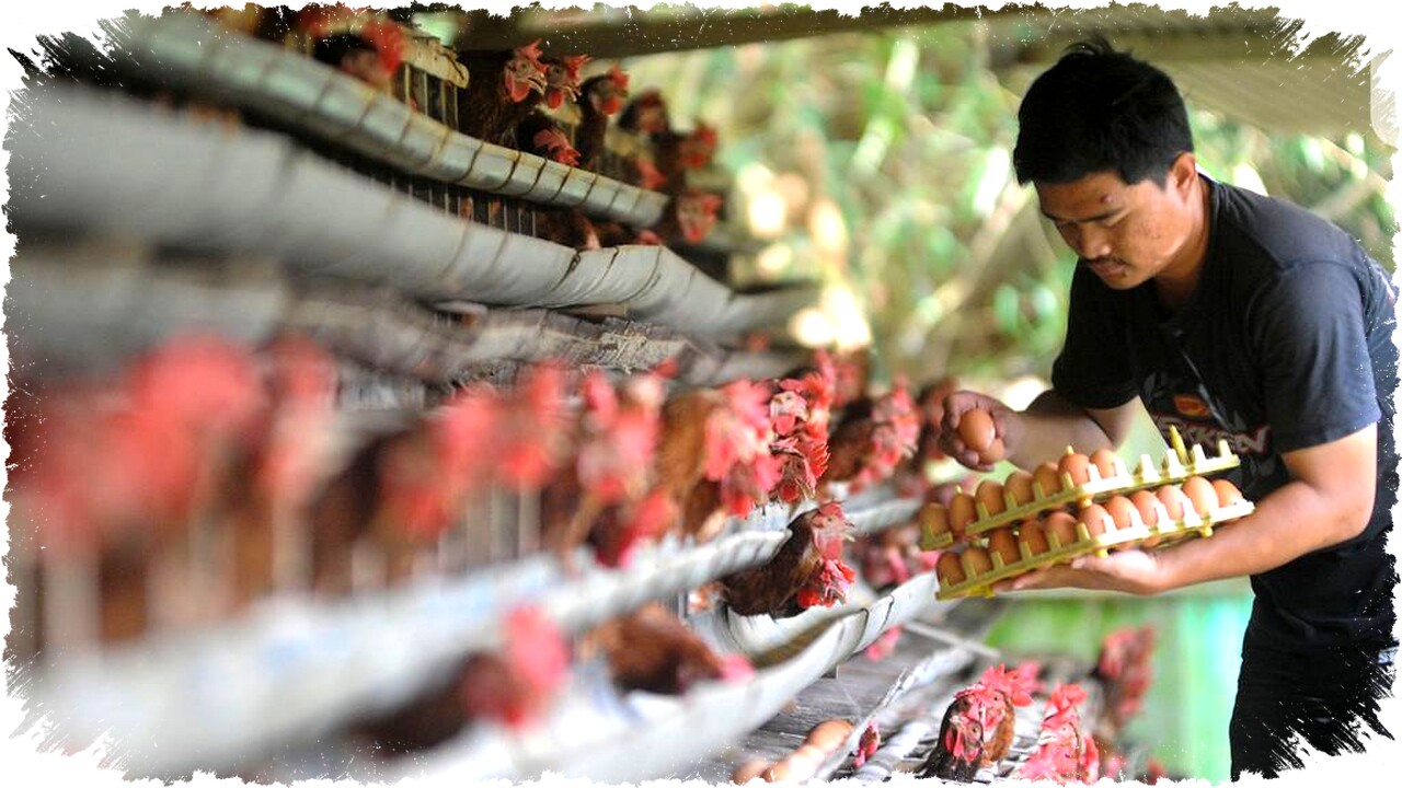 10 Ide Usaha Ternak Perawatan Super Mudah, Modal Kecil Untung Besar Cocok Jadi Bisnis Sampingan! 10 Ide Usaha Ternak Perawatan Super Mudah, Modal Kecil Untung Besar Cocok Jadi Bisnis Sampingan!