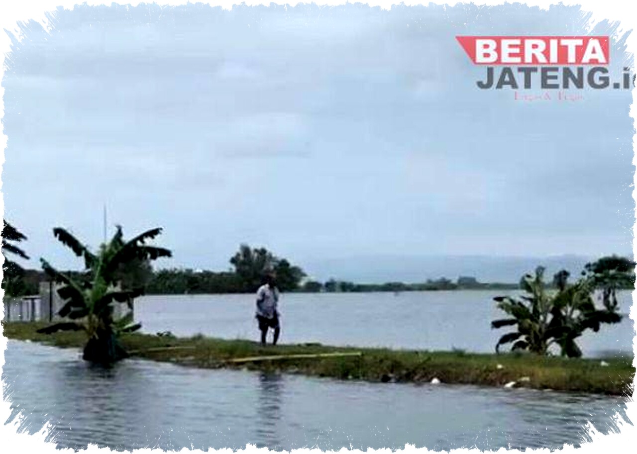17,3 Ribu Hektar Lahan Sawah di Jawa Tengah Terdampak Banjir, 10 Ribu Hektar Sudah Klaim Asuransi 17,3 Ribu Hektar Lahan Sawah di Jawa Tengah Terdampak Banjir, 10 Ribu Hektar Sudah Klaim Asuransi