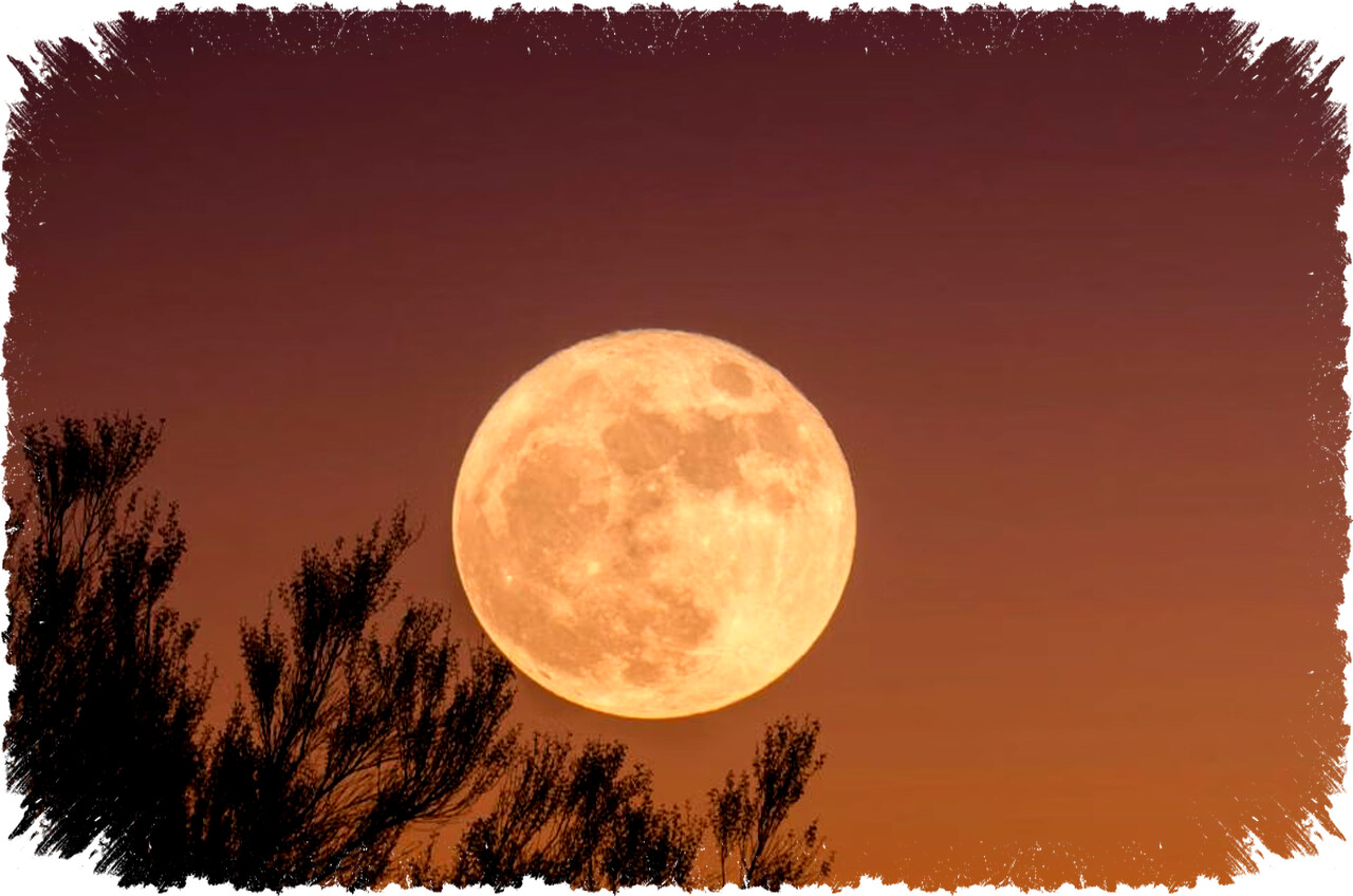 5 Fenomena Langit Ramadan 2026 yang Wajib Disaksikan Termasuk Parade Planet Spektakuler di Malam Hari