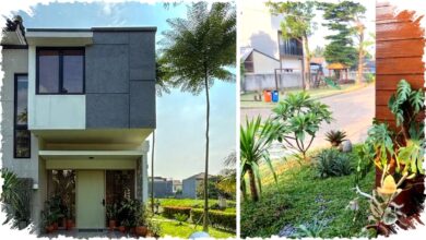 5 Inspirasi Halaman Rumah Tanpa Pagar yang Bikin Tampilan Lebih Luas, Modern, dan Estetik