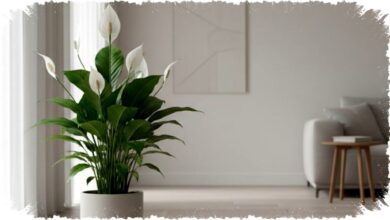 5 Tanaman Hias yang Diam-Diam Membunuh Racun di Udara Rumah Anda, Cegah Penyakit Tanpa Obat!