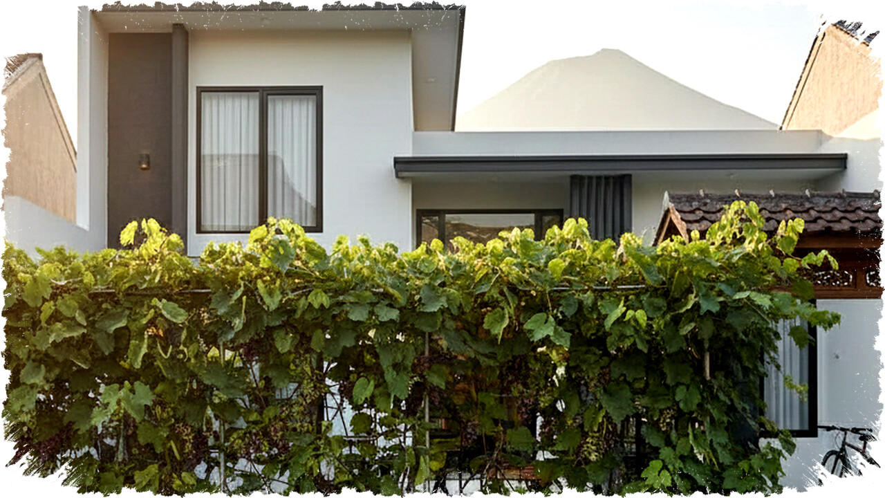 7 Jenis Tanaman Buah untuk Pagar Rumah yang Produktif di Lahan Sempit, Mudah Dirawat!