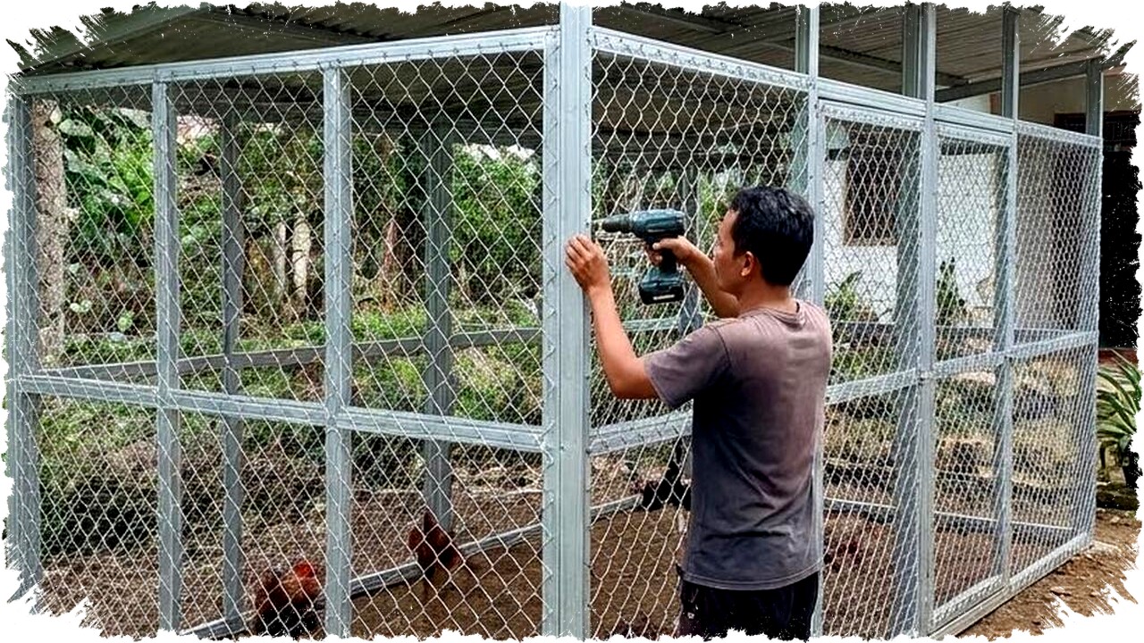 7 Model Kandang Ayam Minimalis dari Rangka Baja Ringan yang Hemat Lahan dan Biaya Untuk Peternak Modern 7 Model Kandang Ayam Minimalis dari Rangka Baja Ringan yang Hemat Lahan dan Biaya Untuk Peternak Modern