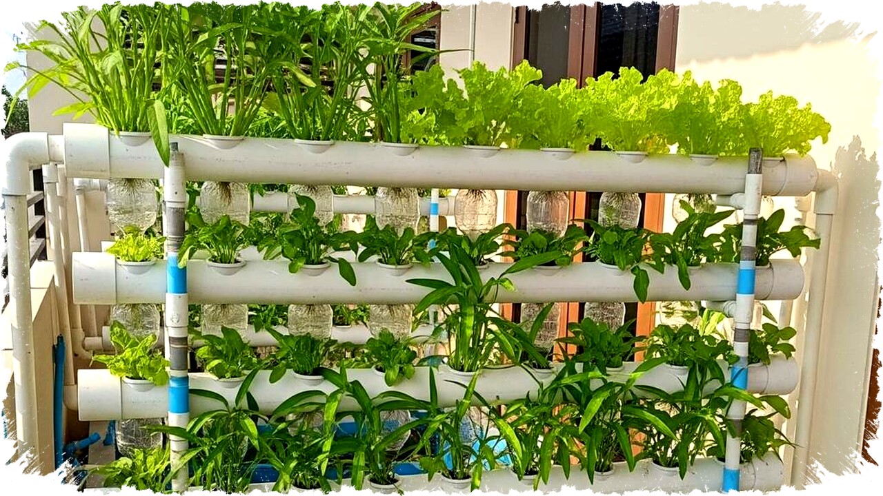 9 Desain Kebun Sayur Pakai Pipa untuk Rumah Minimalis: Hemat Lahan, Estetik & Praktis