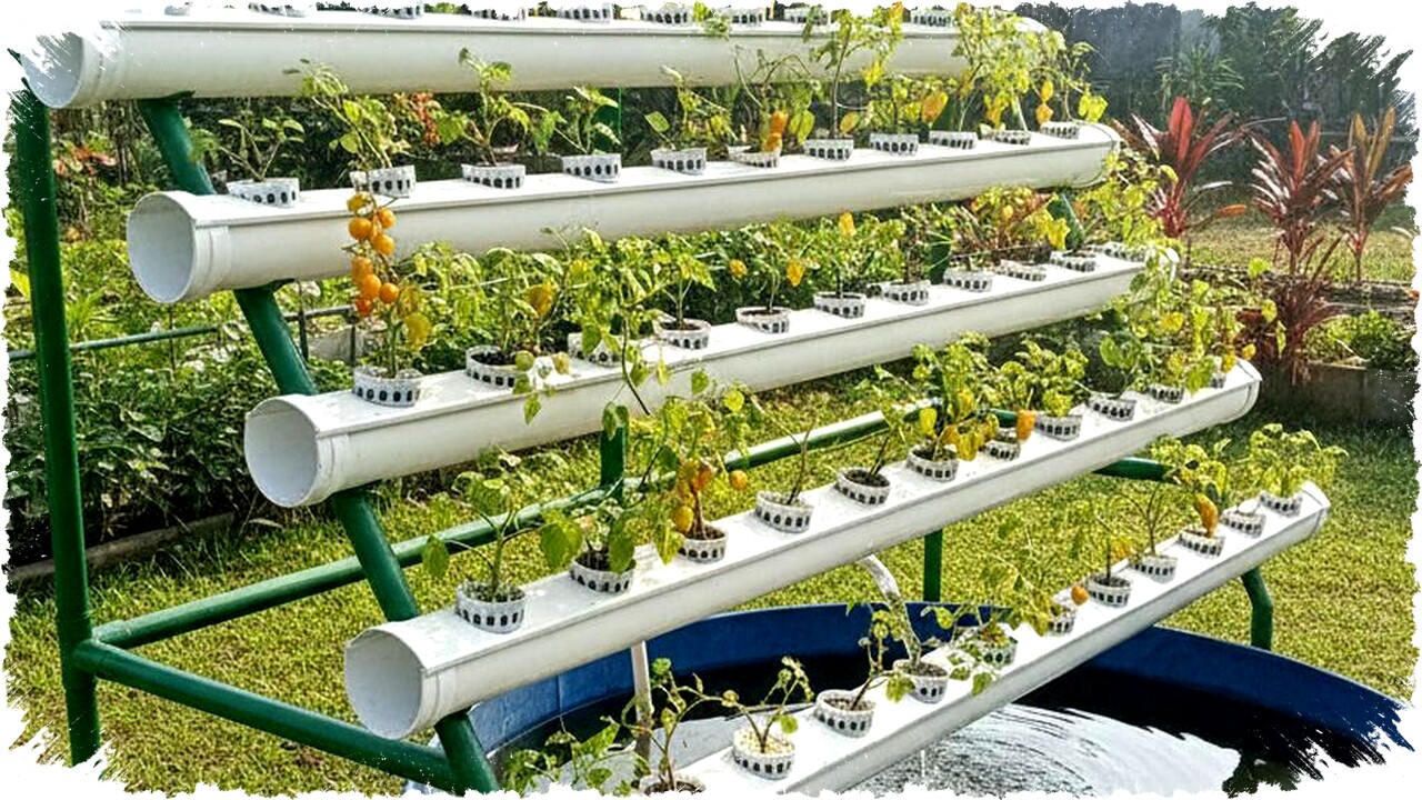 9 Desain Kebun Sayur Vertikultur Tanpa Tanah untuk Lahan Sempit yang Membalik Cara Bertani di Perkotaan Dengan Efisiensi Maksimal dan Teknologi Canggih 9 Desain Kebun Sayur Vertikultur Tanpa Tanah untuk Lahan Sempit yang Membalik Cara Bertani di Perkotaan Dengan Efisiensi Maksimal dan Teknologi Canggih