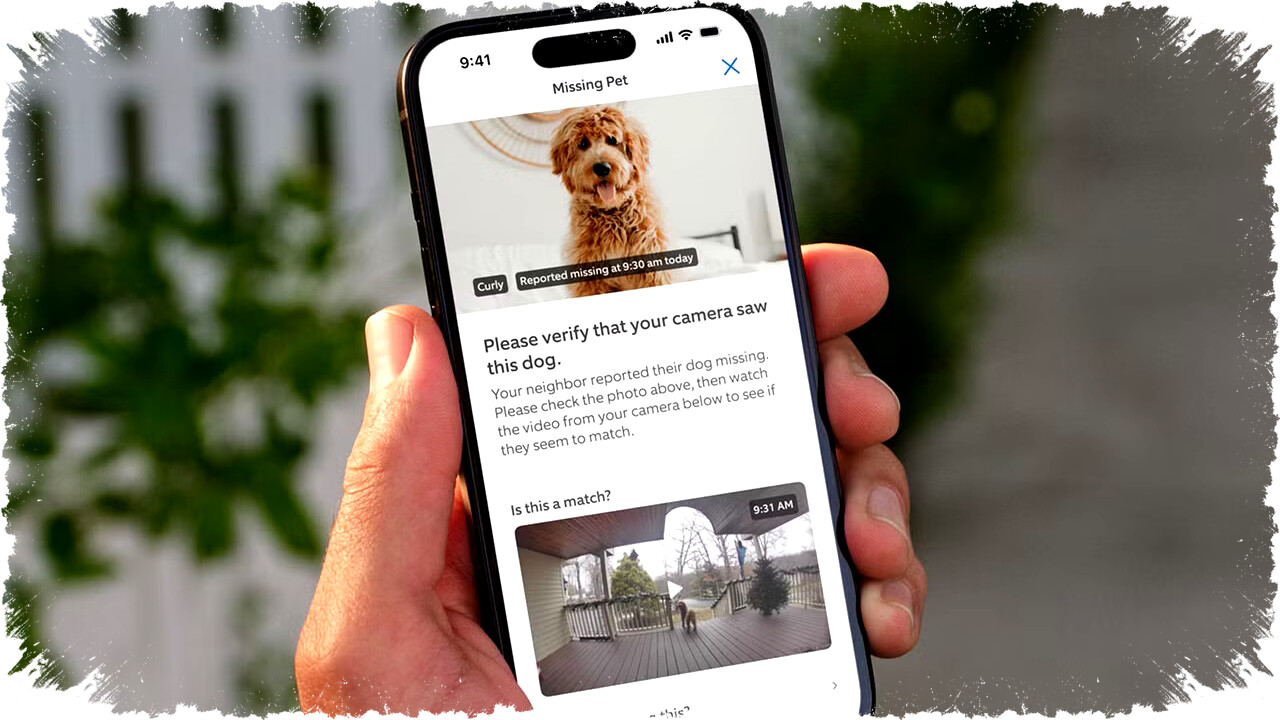 Amazon Buka Jaringan Ring untuk Membantu Temukan Anjing Hilang Lewat Fitur Pencarian Terbaru