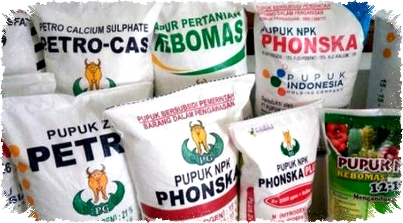 Bantuan Pupuk & Pestisida Rp5,5 Miliar untuk 4 Kelompok Tani di Bengkulu Tengah Tingkatkan Produktivitas