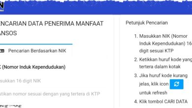Cara Mudah Cek Desil DTSEN 2026 Hanya Dengan NIK Lewat Website Resmi dan Aplikasi Cek Bansos Tanpa Ribet