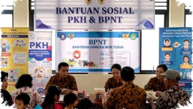 Cara Mudah dan Cepat Cek Status Penerima Bansos PKH dan BPNT 2026 Online Langsung Pakai NIK Tanpa Ribet