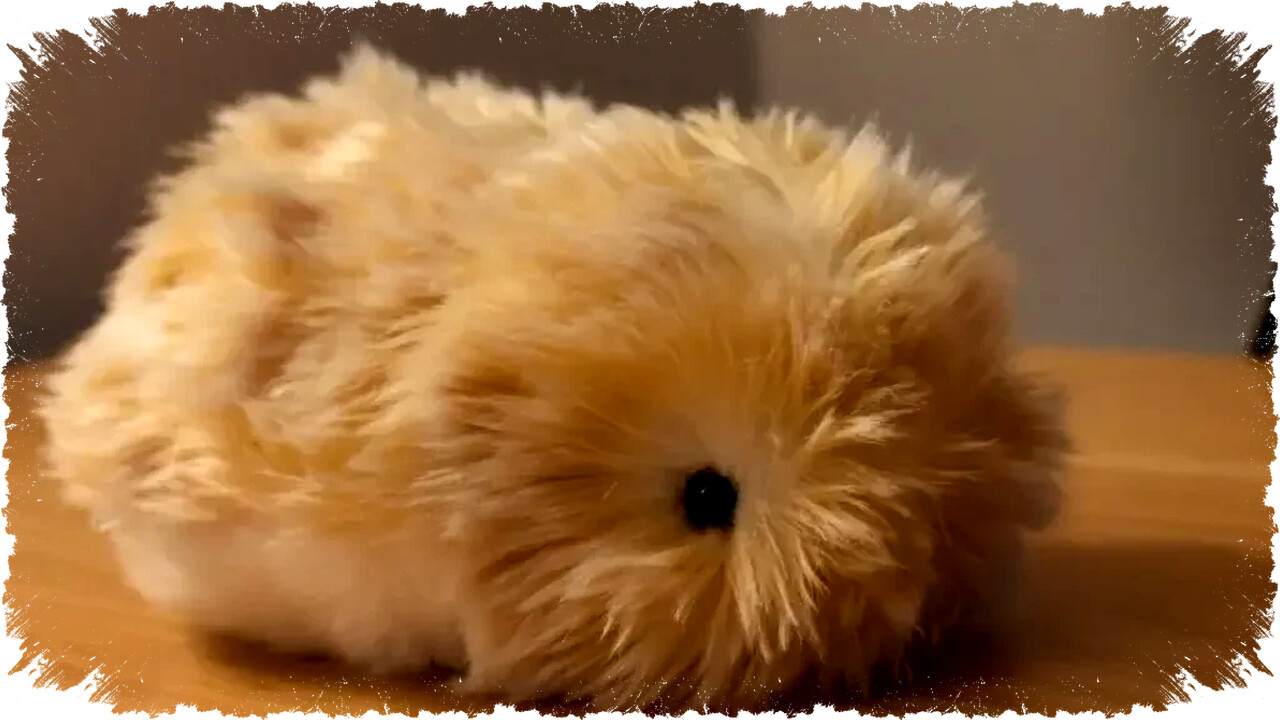 Casio Moflin Rp 6,7 Juta: Robot Hewan AI yang Bikin Frustrasi, Bukan Sahabat Sejati – Janji Cerdas Berujung Berisik dan Ilusi Persahabatan Palsu!