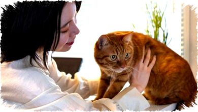 Ciri Mengerikan Orang Suka Ngobrol dengan Hewan Peliharaan Ungkap Kecerdasan Emosional dan Empati Mendalam