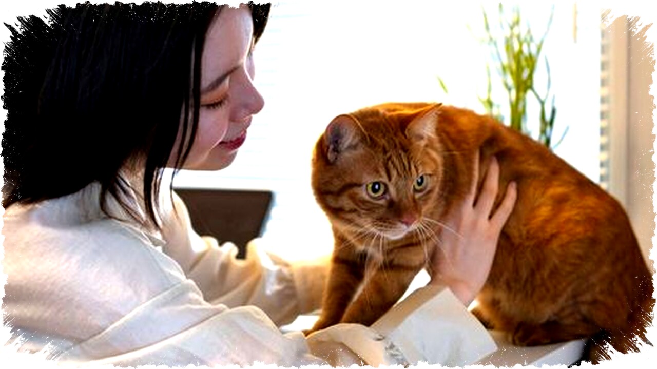 Ciri Mengerikan Orang Suka Ngobrol dengan Hewan Peliharaan Ungkap Kecerdasan Emosional dan Empati Mendalam Ciri Mengerikan Orang Suka Ngobrol dengan Hewan Peliharaan Ungkap Kecerdasan Emosional dan Empati Mendalam