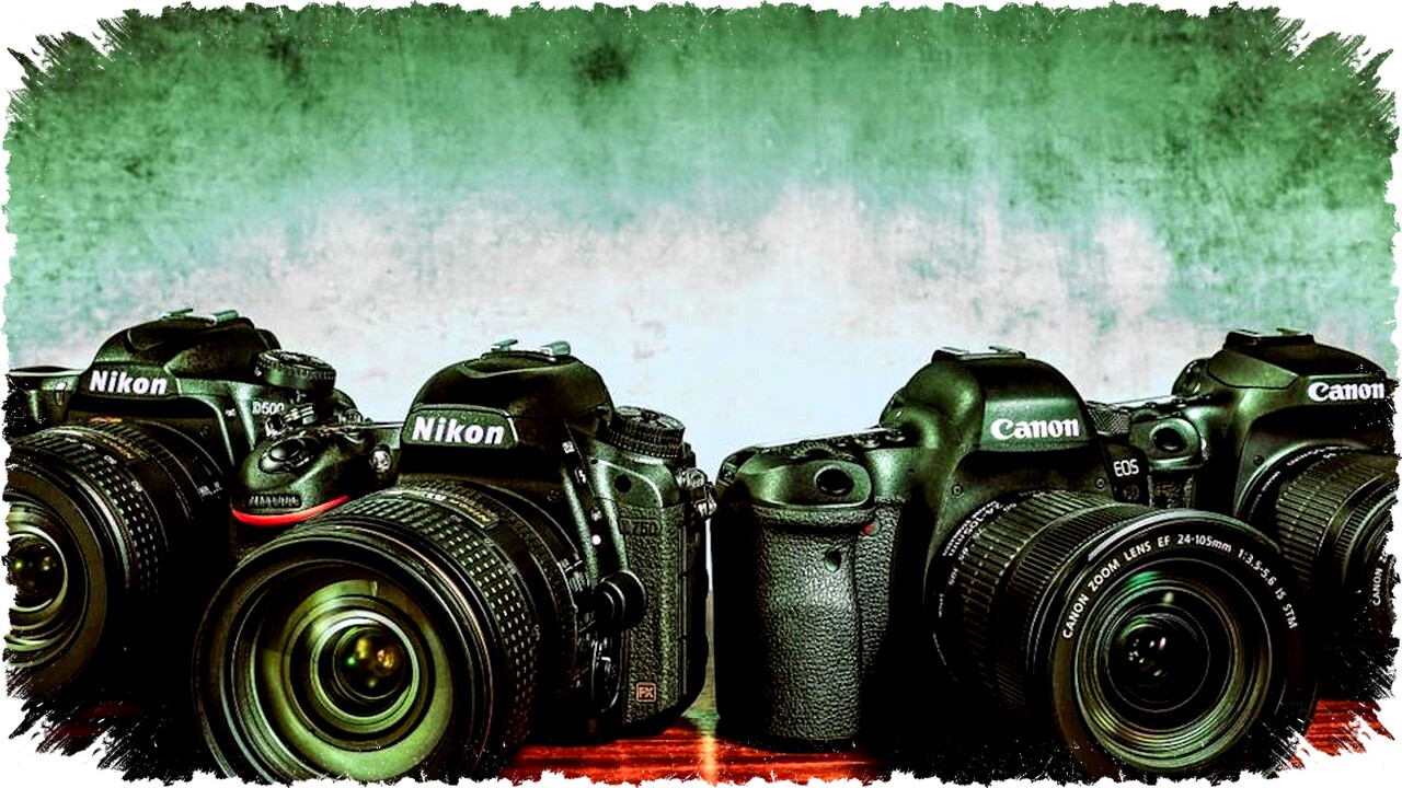 DSLR Kamera Siap Bangkit Lagi: Alasan Fotografer Profesional Melirik Kembali Tren Kamera Legendaris