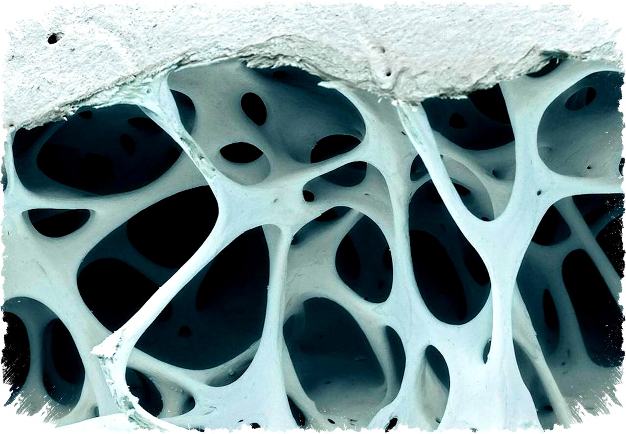 Desain Berpori Ala Alam: Inovasi 3D Printing untuk Material Ringan dan Kuat di Industri Modern Desain Berpori Ala Alam: Inovasi 3D Printing untuk Material Ringan dan Kuat di Industri Modern