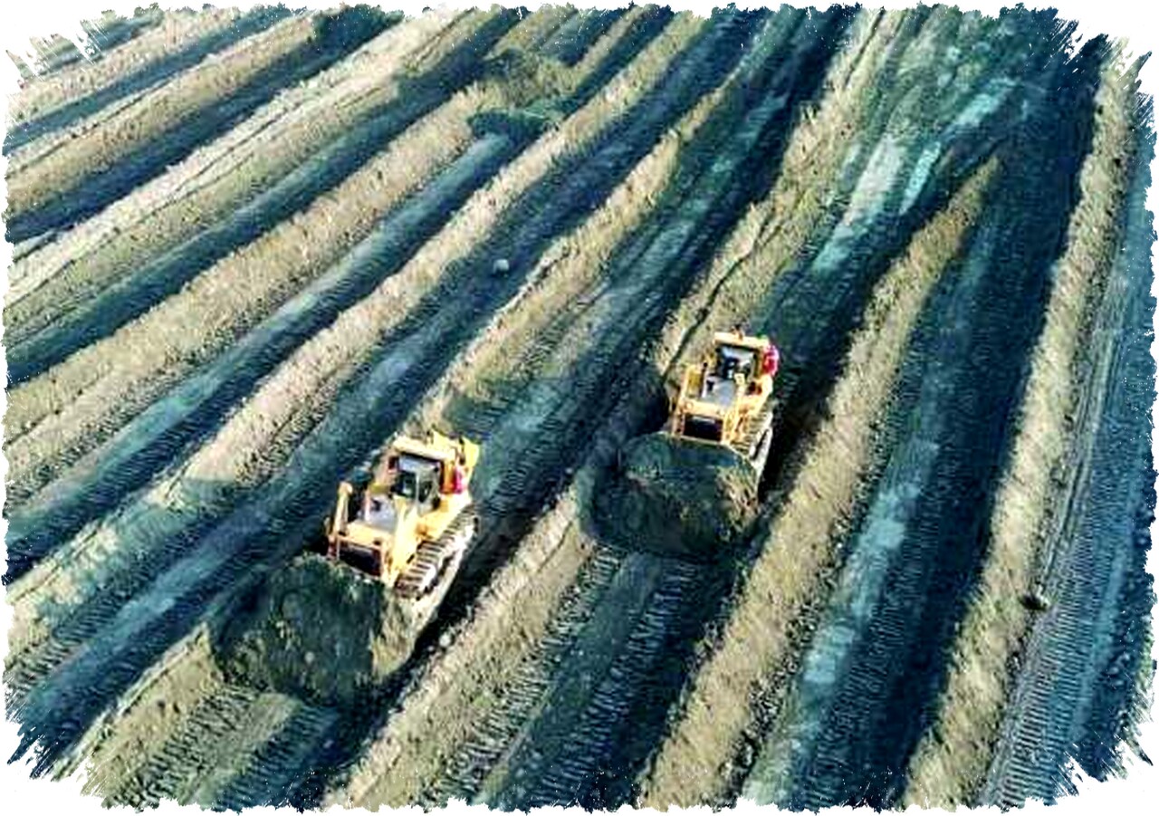 Diversifikasi dan Akuisisi Dorong Margin Petrosea Tbk (PTRO) Makin Prospektif hingga 2026 Diversifikasi dan Akuisisi Dorong Margin Petrosea Tbk (PTRO) Makin Prospektif hingga 2026