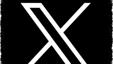 Drama Besar di X! Mengungkap Asal Mula Konflik Sengit Knetz vs Asia Tenggara