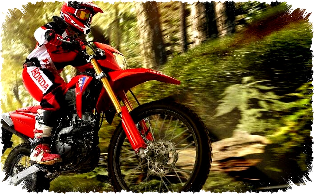 Honda CRF150L vs Kawasaki KLX150: Pilih Motor Off Road Tangguh untuk Petualanganmu?