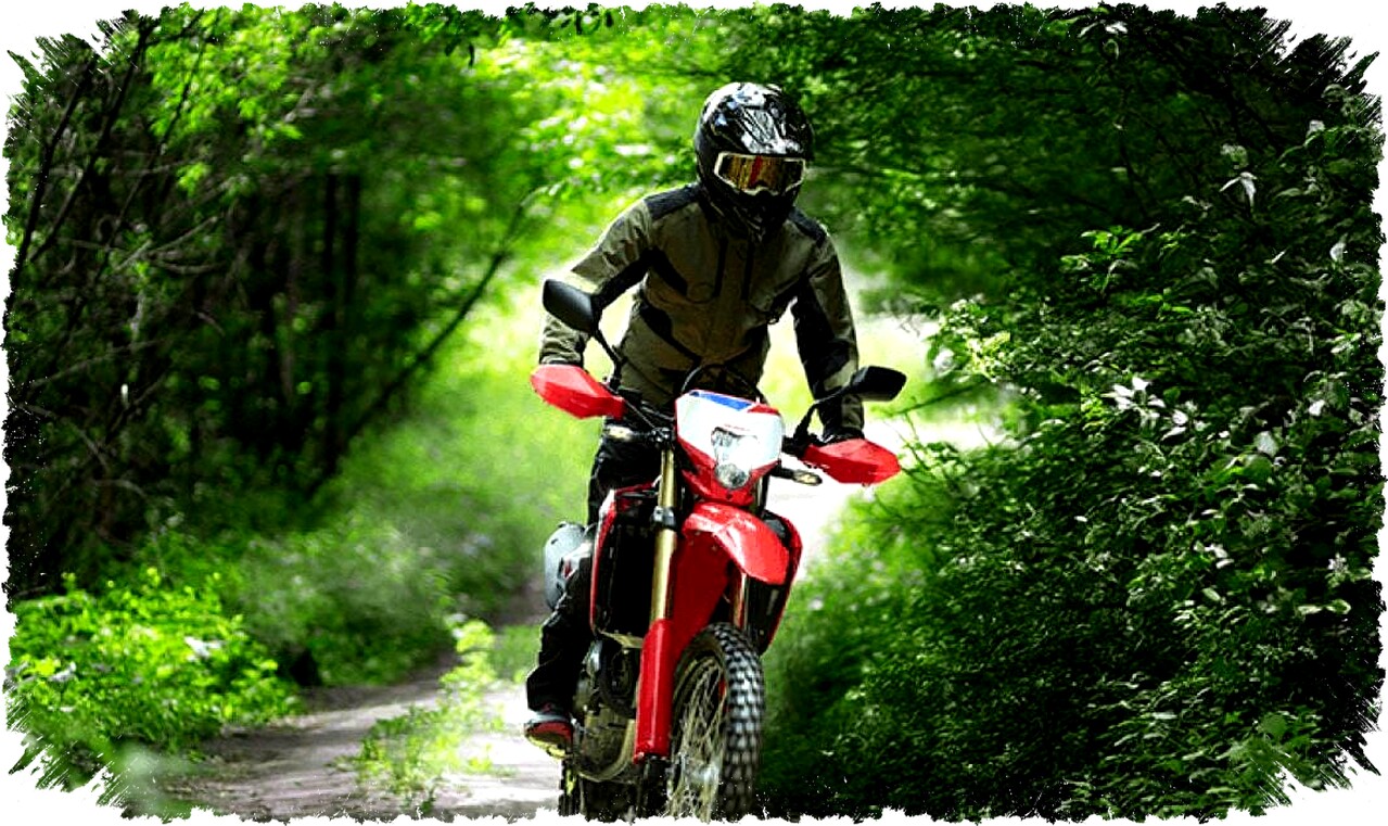 Honda CRF250L: Motor Off Road Tangguh dengan Mesin Bandel, Suspensi Andal, dan Kekurangan Jok Tinggi Honda CRF250L: Motor Off Road Tangguh dengan Mesin Bandel, Suspensi Andal, dan Kekurangan Jok Tinggi